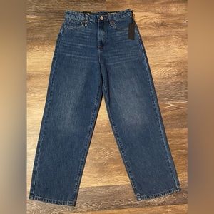 NWT BLANK NYC THE BAXTER RIBCAGE STRAIGHT LEG ANKLE JEANS SIZE 26